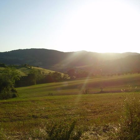 Belvilla By Oyo Il Camino Montespertoli Εξωτερικό φωτογραφία