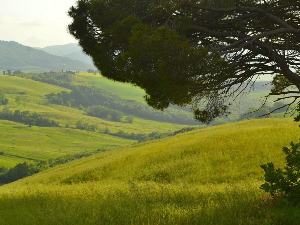 Belvilla By Oyo Il Camino Montespertoli Εξωτερικό φωτογραφία