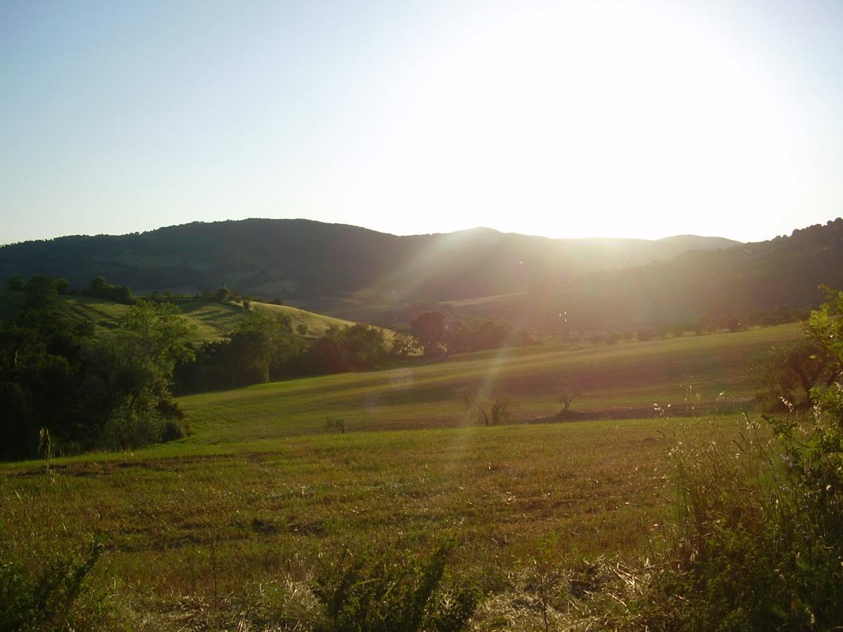 Belvilla By Oyo Il Camino Montespertoli Εξωτερικό φωτογραφία